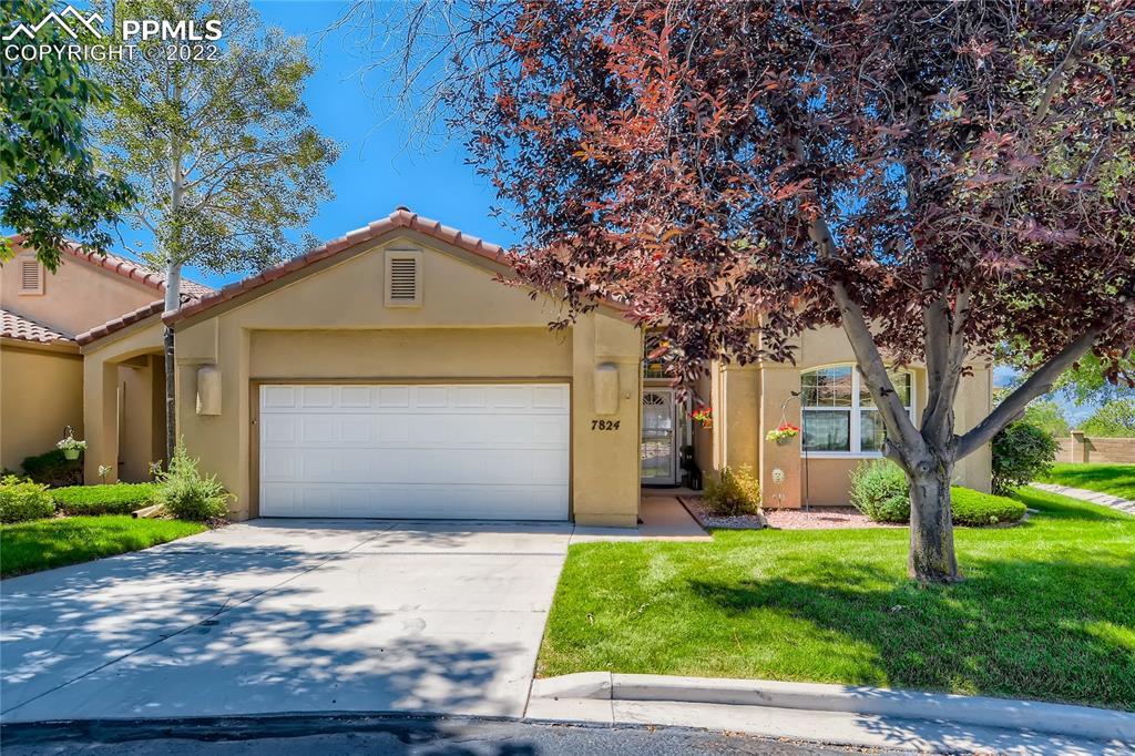 7824 Antigua Point, Colorado Springs, CO 80920