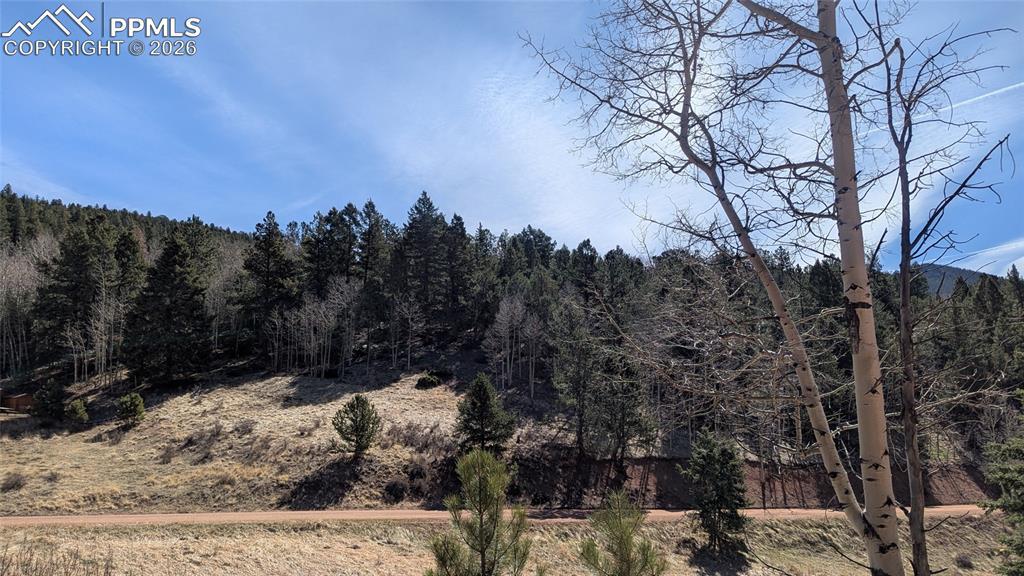 136 Valley Rd., Divide, CO 80814