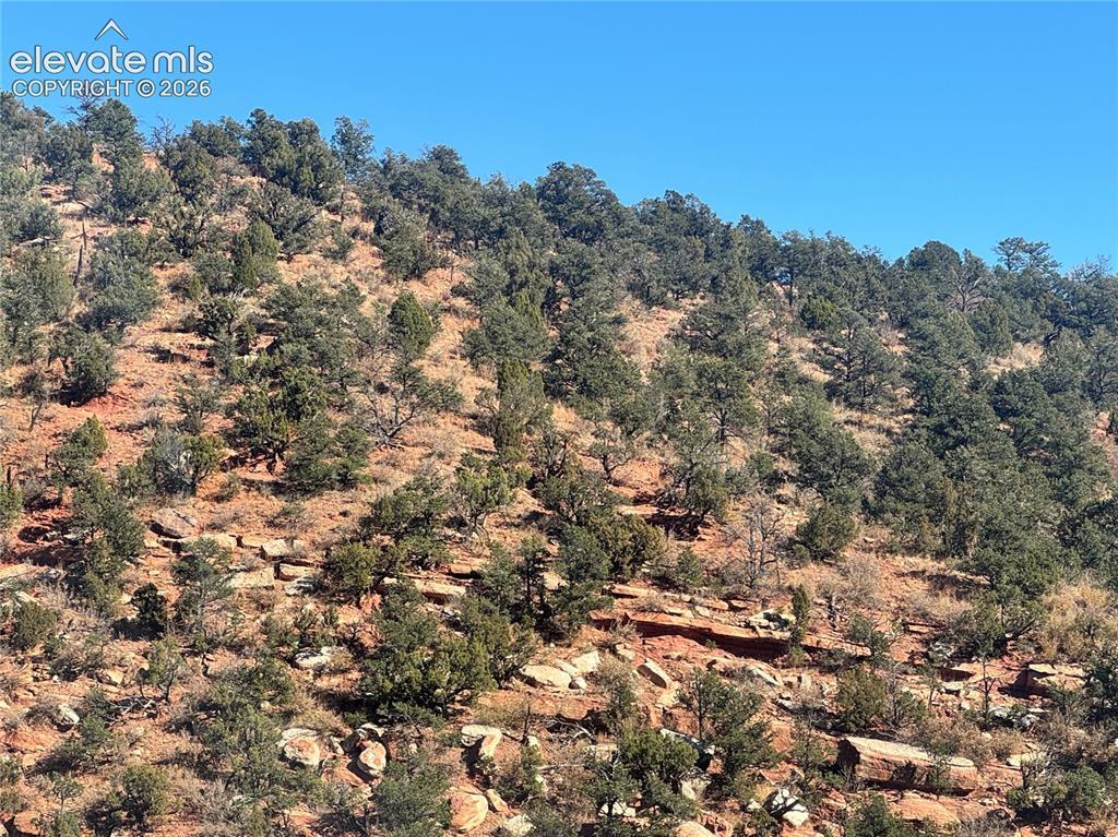 Tarrant St., Manitou Springs, CO 80829