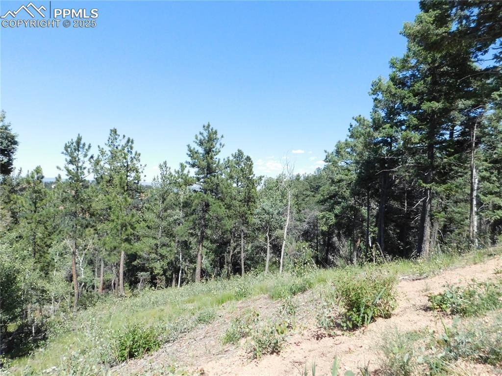 13670 Spruce Creek Cir., Larkspur, CO 80118