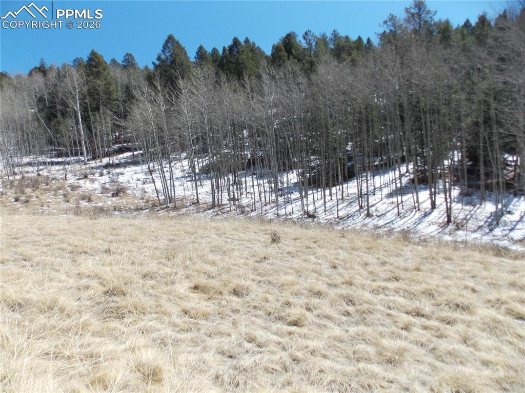 388 Grey Eagle Dr., Cripple Creek, CO 80813