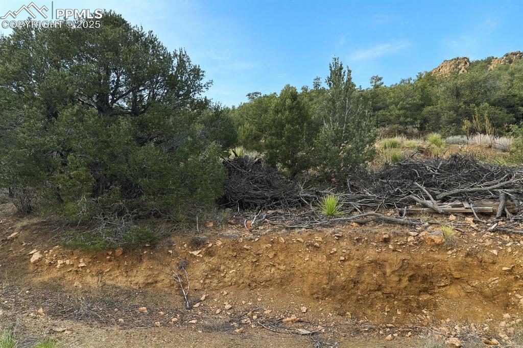 2973 Driftwood Rd., Westcliffe, CO 81252