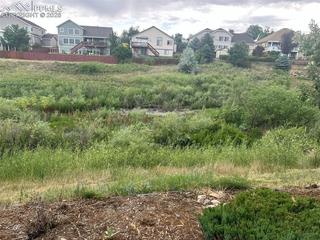 6463 Bluffmont Point, Colorado Springs, CO 80923