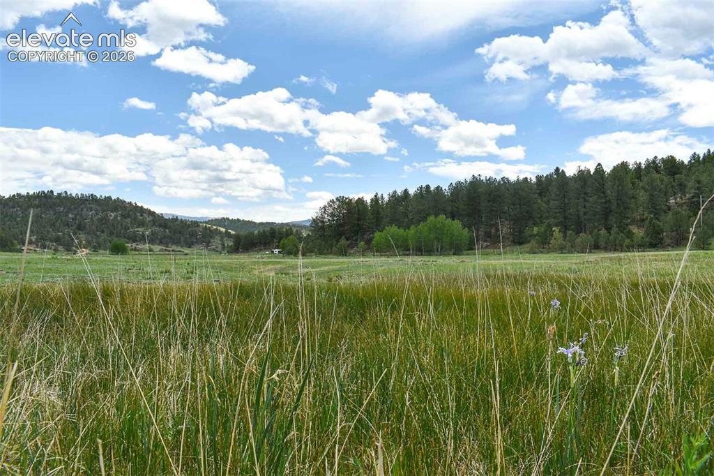 729 Valley Dr., Guffey, CO 80820