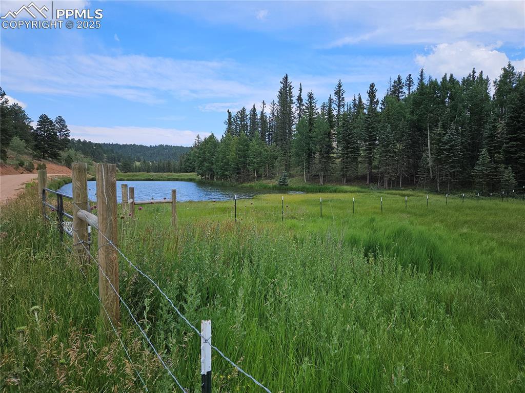 702 Lake Dr., Divide, CO 80814