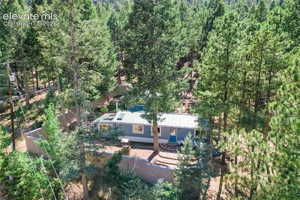 196 Summer Haven Dr., Woodland Park, CO 80863