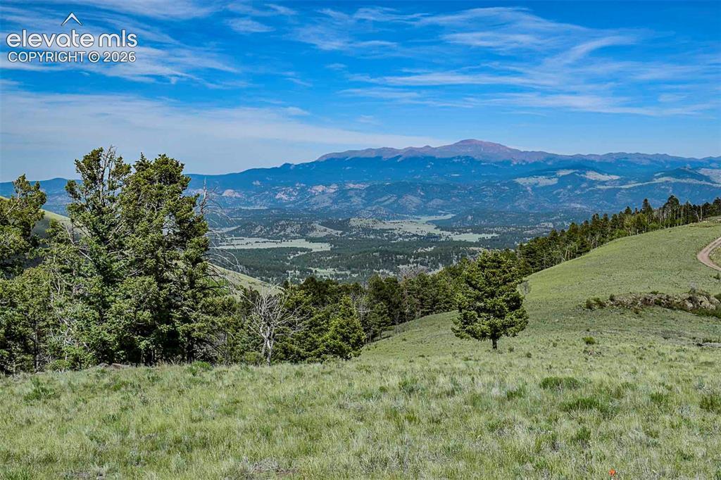000 Bear Cat Rd., Guffey, CO 80820