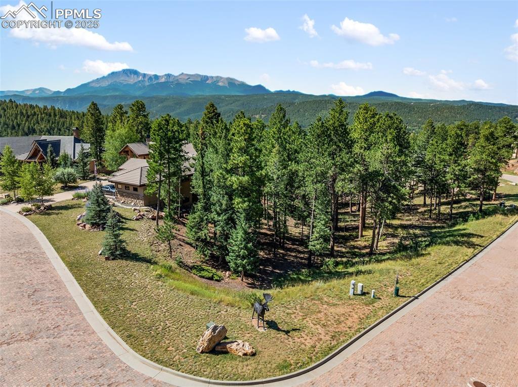 311 Thunder Ridge Dr., Woodland Park, CO 80863