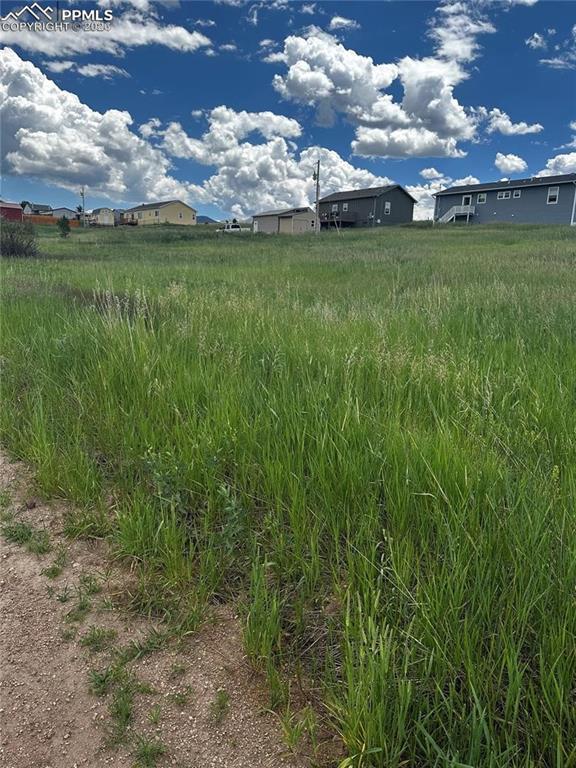1298 Will Scarlet Dr., Divide, CO 80814