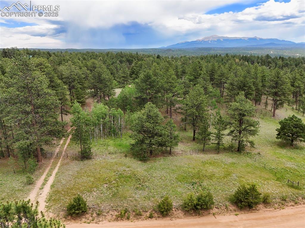 4202 Wildhorn Rd., Florissant, CO 80816