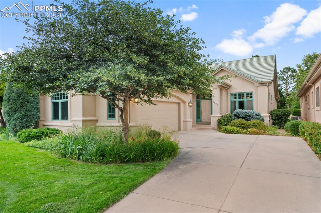 2620 Alder Point, Colorado Springs, CO 80904