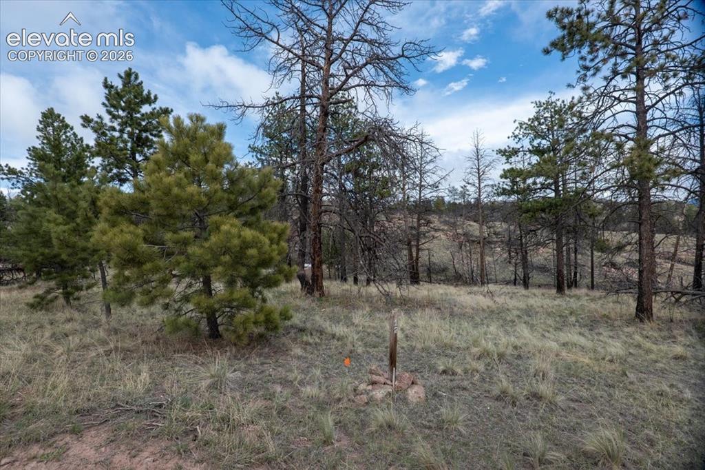 144 Chapparal Tr., Florissant, CO 80816