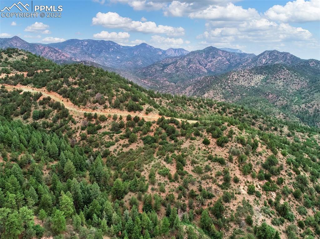Turkey Canon Ranch Rd., Colorado Springs, CO 80926