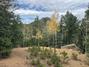 New Homes For Sale This Week in Manitou Springs: October 10th to October 16th