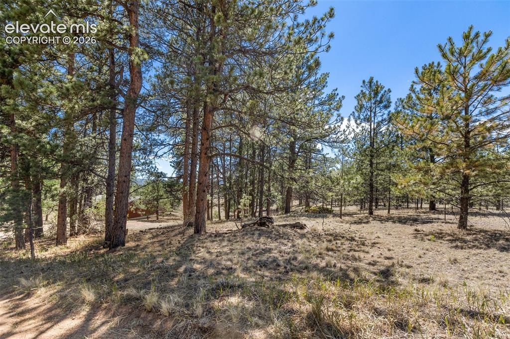 349 Rhyolite Ln., Florissant, CO 80816
