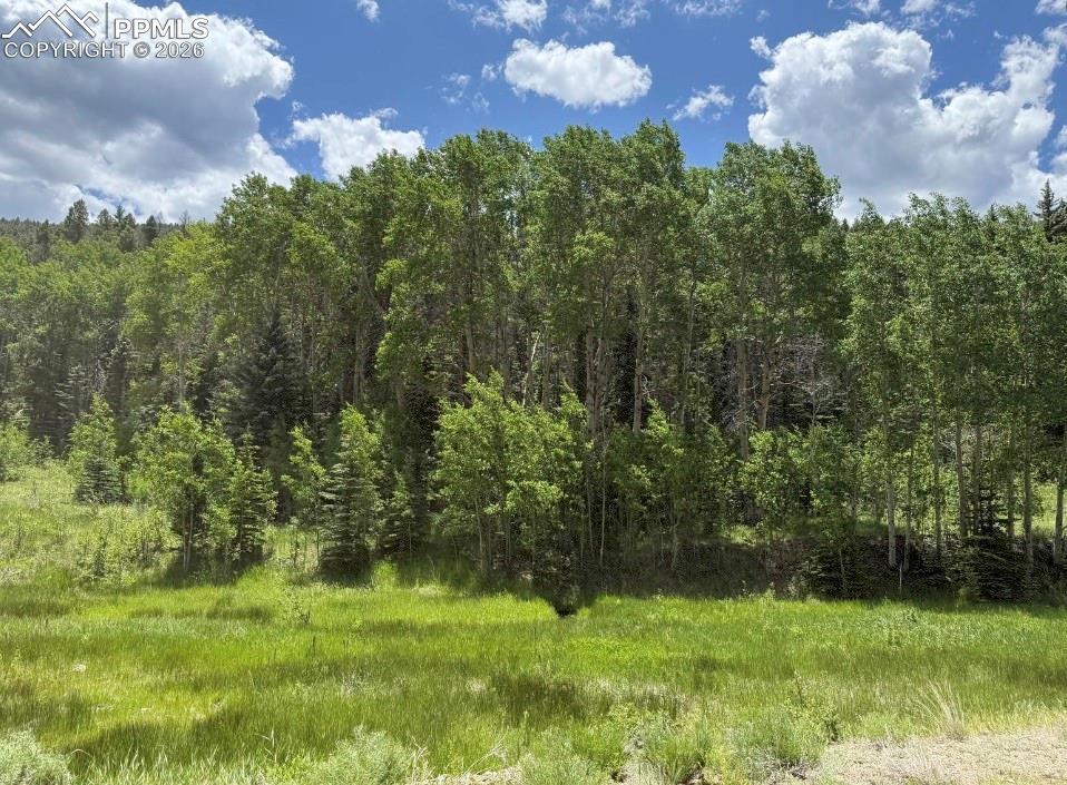 Lot 1 County Road 358, Westcliffe, CO 81252