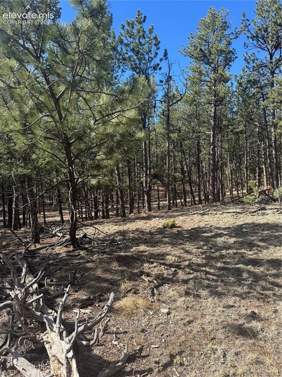 642 Matterhorn Dr., Florissant, CO 80816