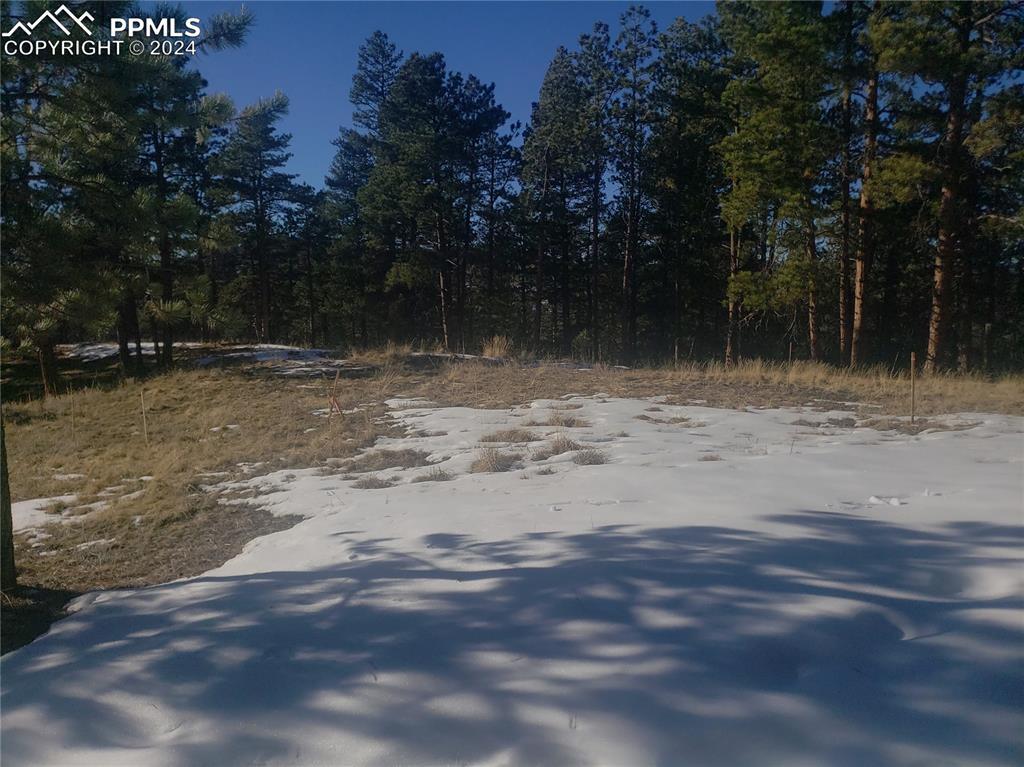 206 Eagles Perch Pl., Woodland Park, CO 80863