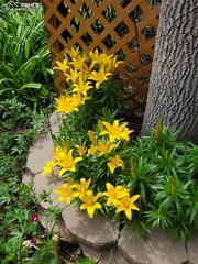 3255 Wesley Ln., Colorado Springs, CO 80917