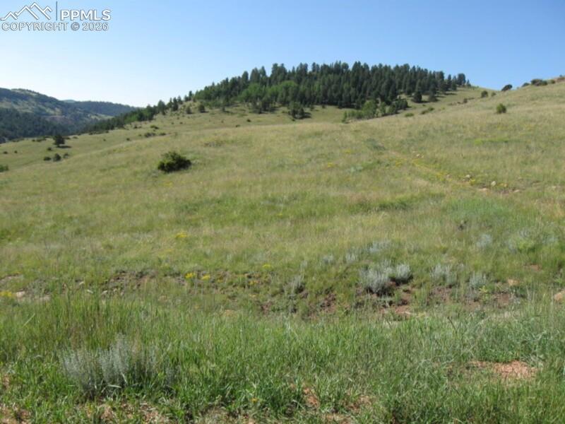 Lot 9-10 Shideler Ave., Cripple Creek, CO 80813
