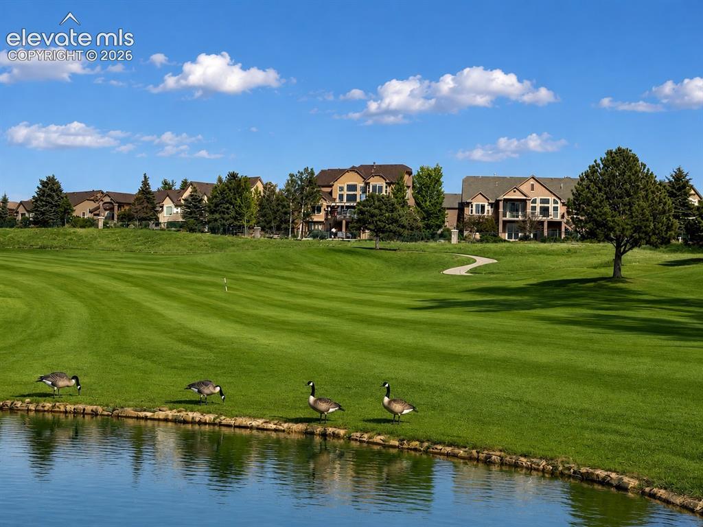 9952 Oak Knoll Ter., Colorado Springs, CO 80920