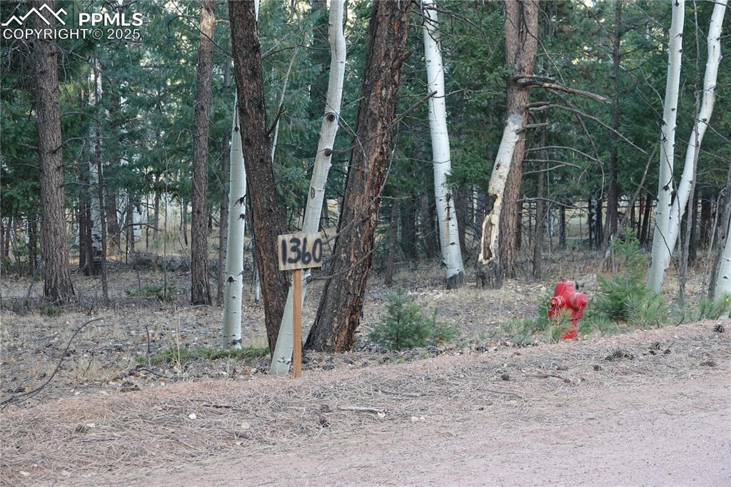 1360 Windflower Ln., Woodland Park, CO 80863