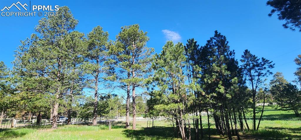 13175 Ward Ln., Colorado Springs, CO 80908