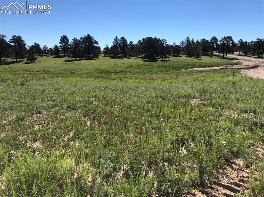 11030 Mosey Tr., Colorado Springs, CO 80908