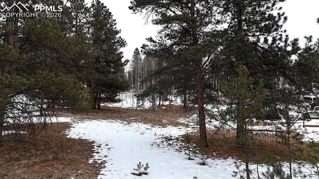 210 Rhyolite Ln., Florissant, CO 80816