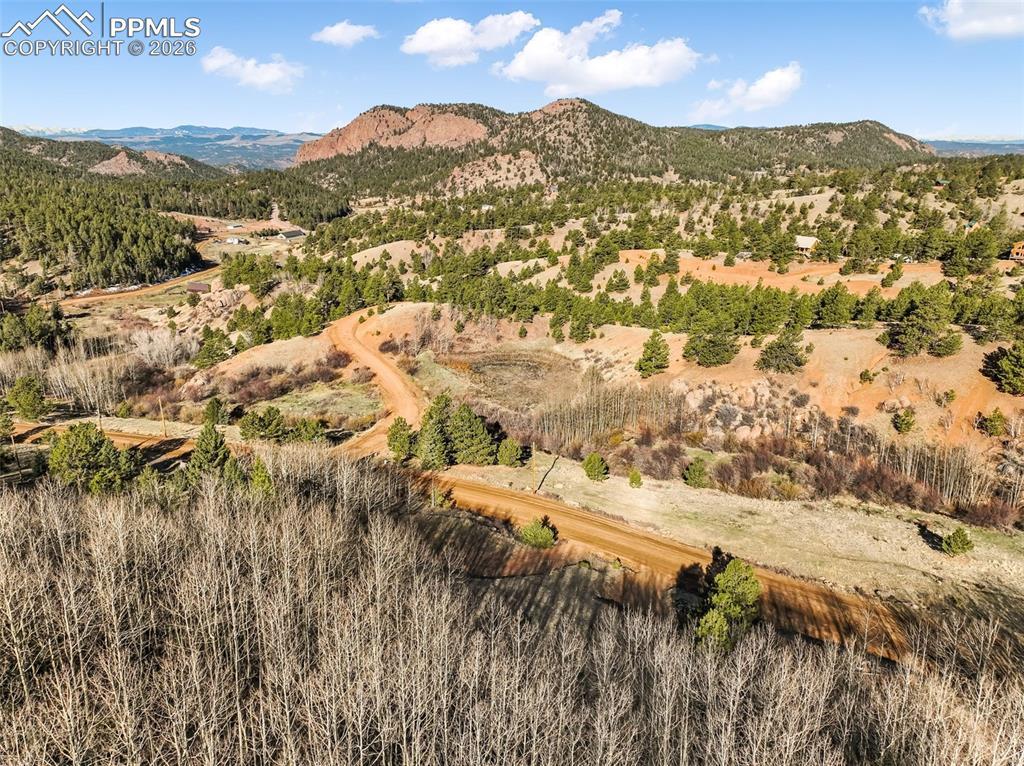 690 Anges Dr., Cripple Creek, CO 80813