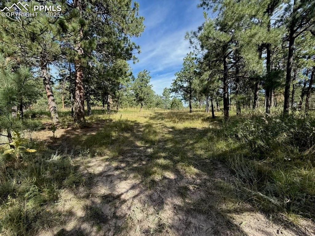 17435 E Goshawk Rd., Colorado Springs, CO 80908