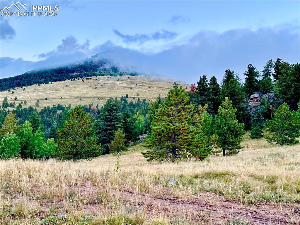 908 Penrose Cir., Cripple Creek, CO 80813