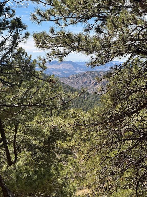 288 Troy Dr., Cripple Creek, CO 80813