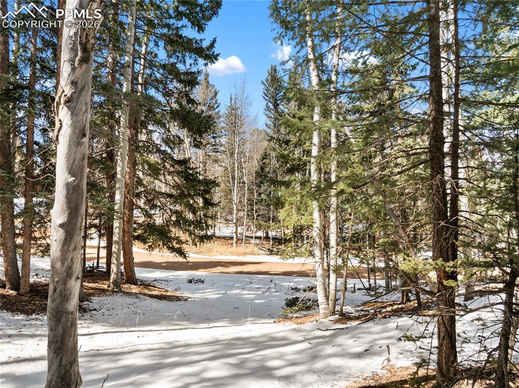 358 Pawutsy Rd., Florissant, CO 80816