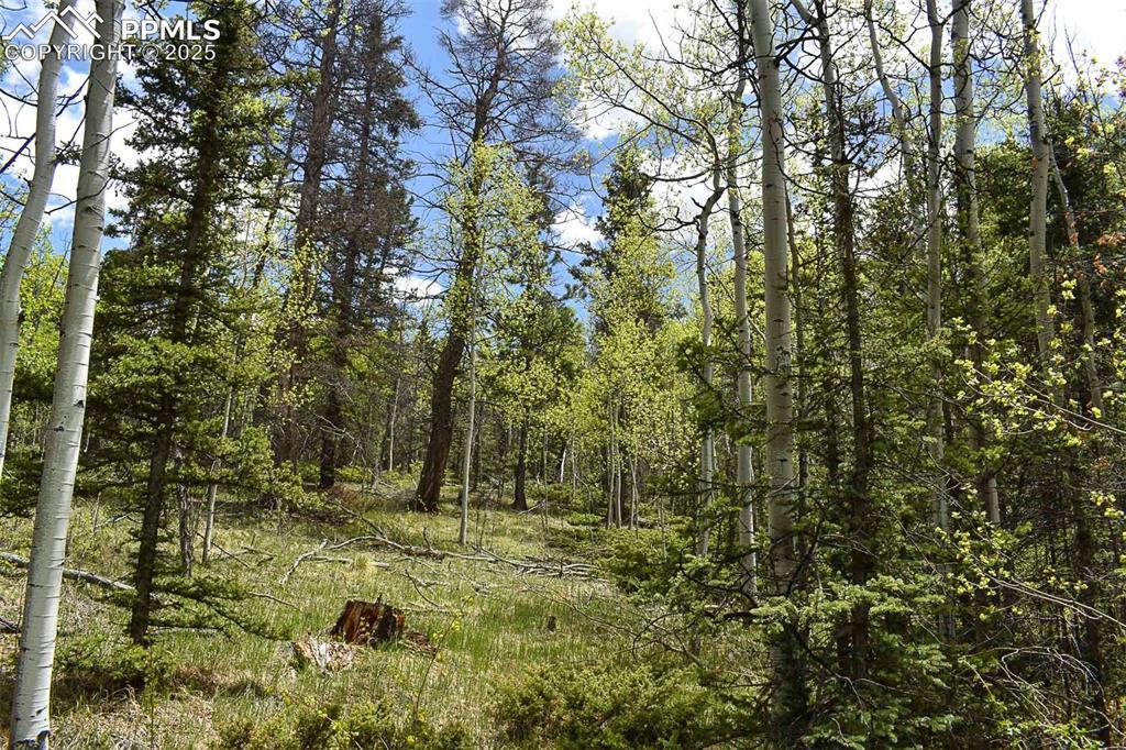 430 Timberline Dr., Guffey, CO 80820