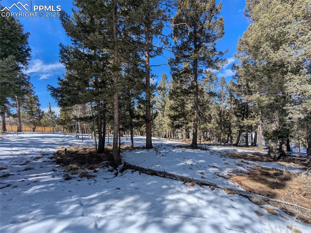 924 Will Scarlet Dr., Divide, CO 80814