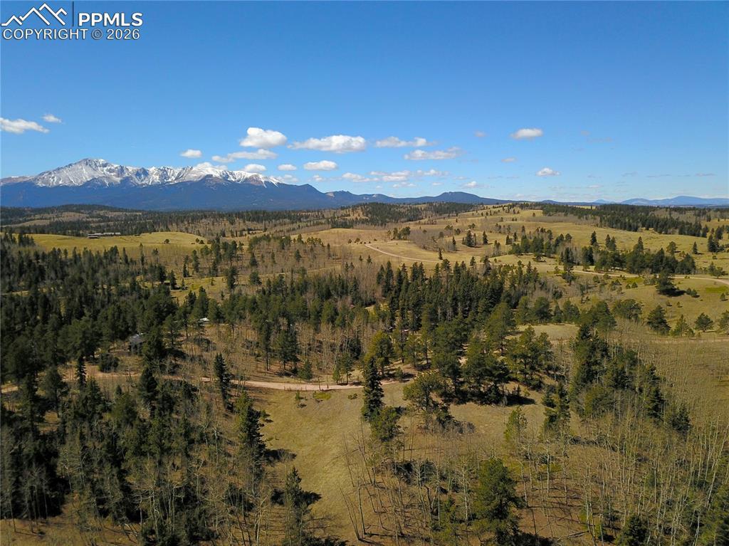 Schubarth Tr., Woodland Park, CO 80863