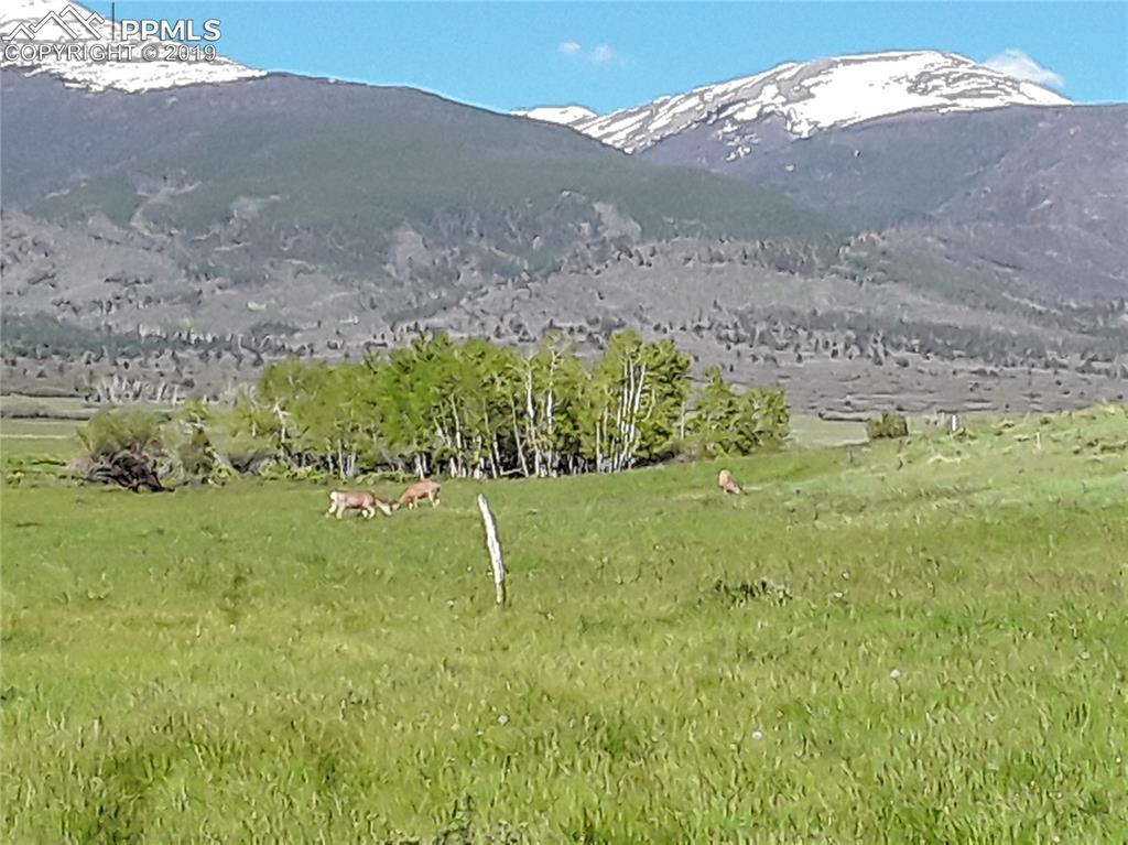480 Lake Creek Ln., Cotopaxi, CO 81223