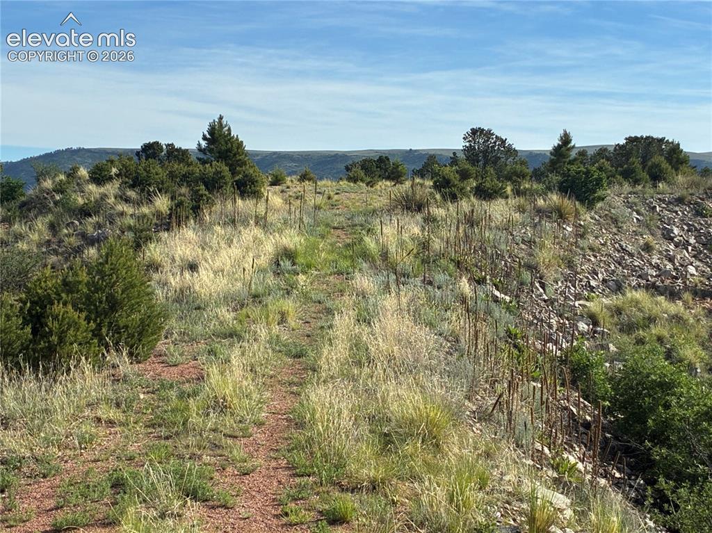 TBD Chris Crossover Dr., Canon City, CO 81212