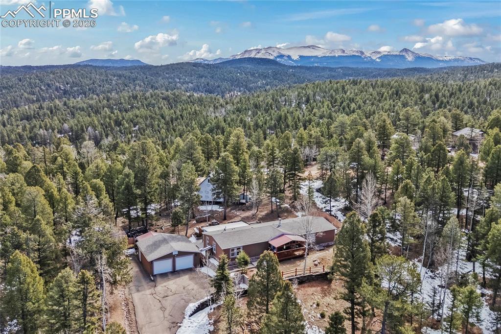 146 Kokwapy Ct., Florissant, CO 80816