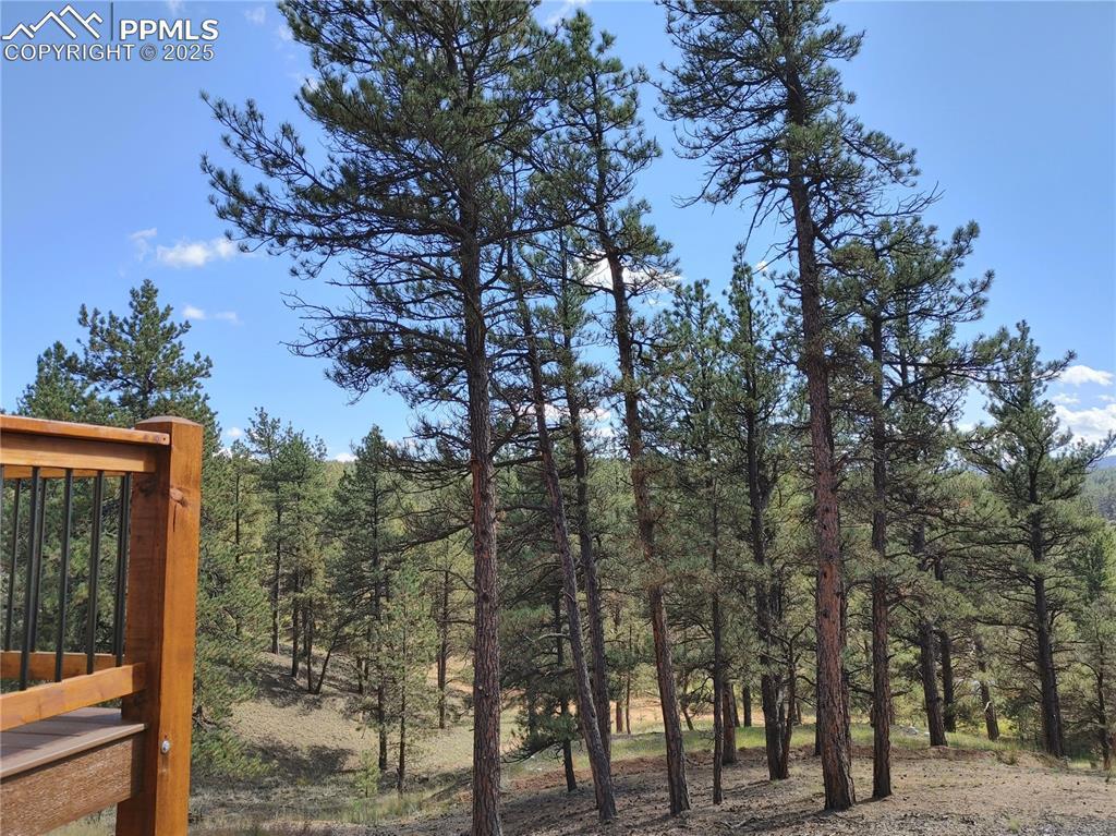 76 Bradshaw Rd., Florissant, CO 80816