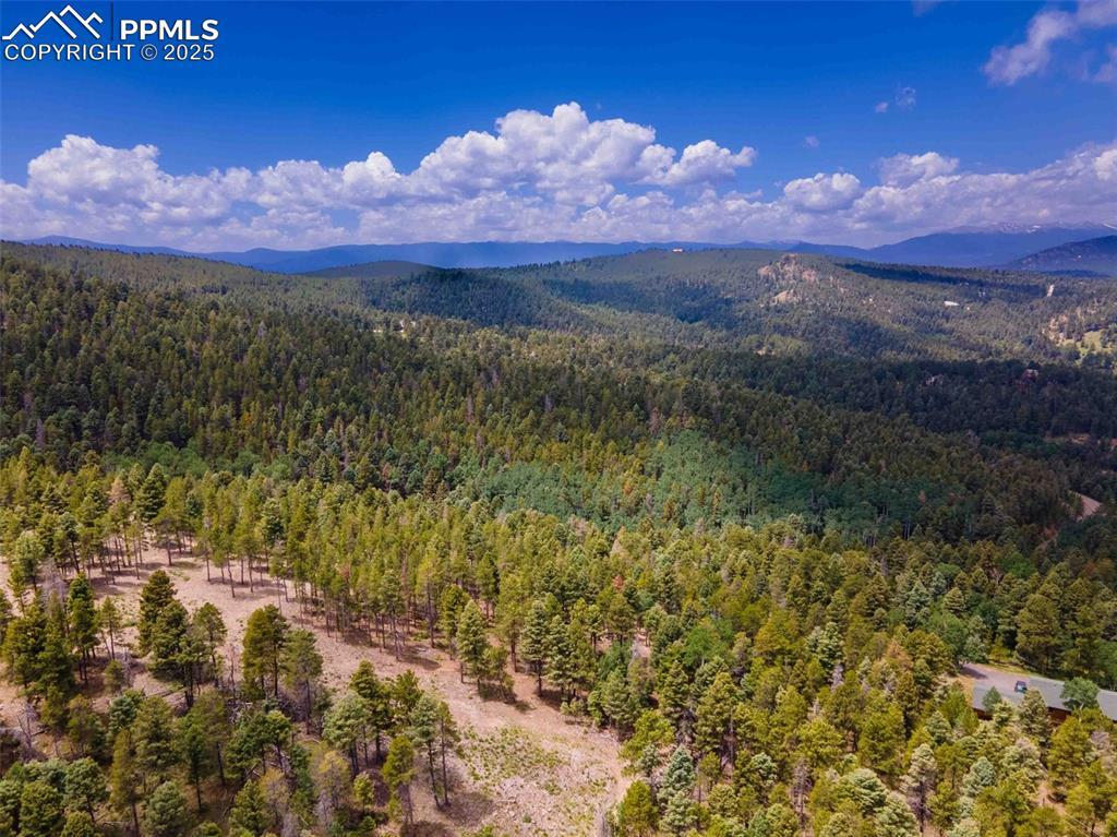 12329 Powhatan Tr., Conifer, CO 80433