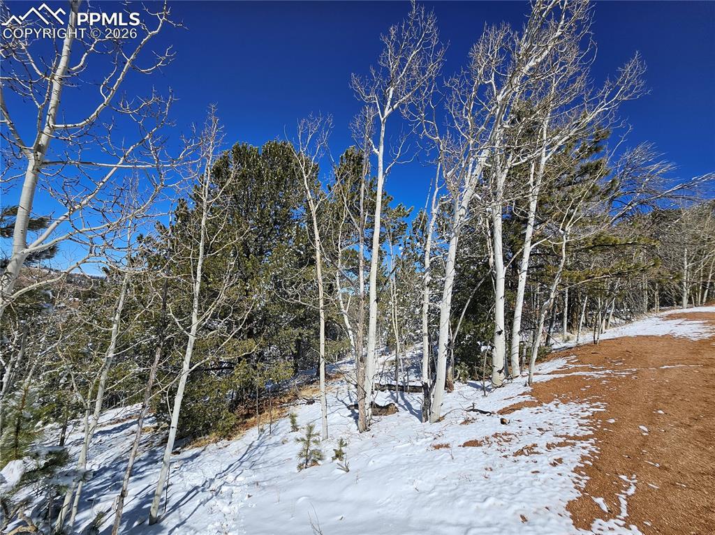 829 Princess Rd., Cripple Creek, CO 80813