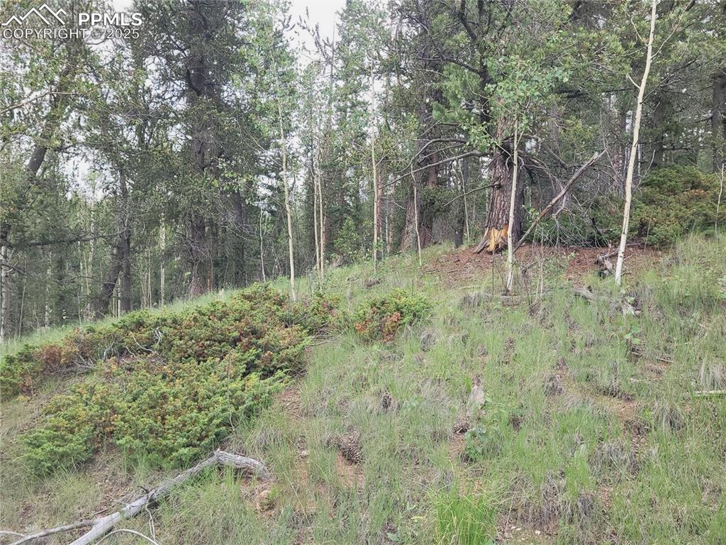 2455 Yorktown Rd., Cripple Creek, CO 80813