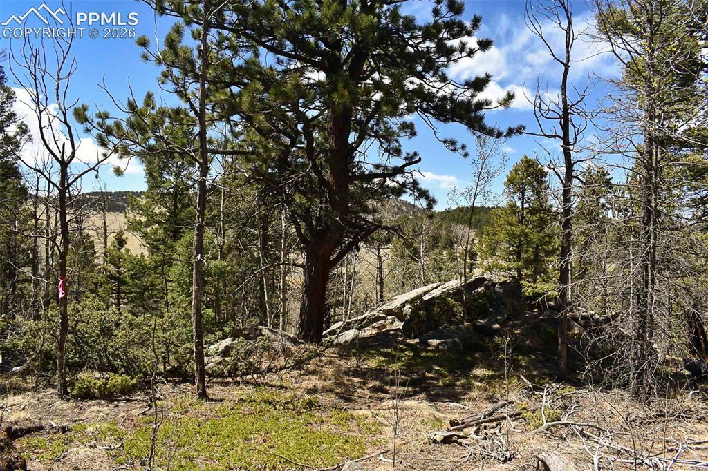 289 Timberline Dr., Guffey, CO 80820
