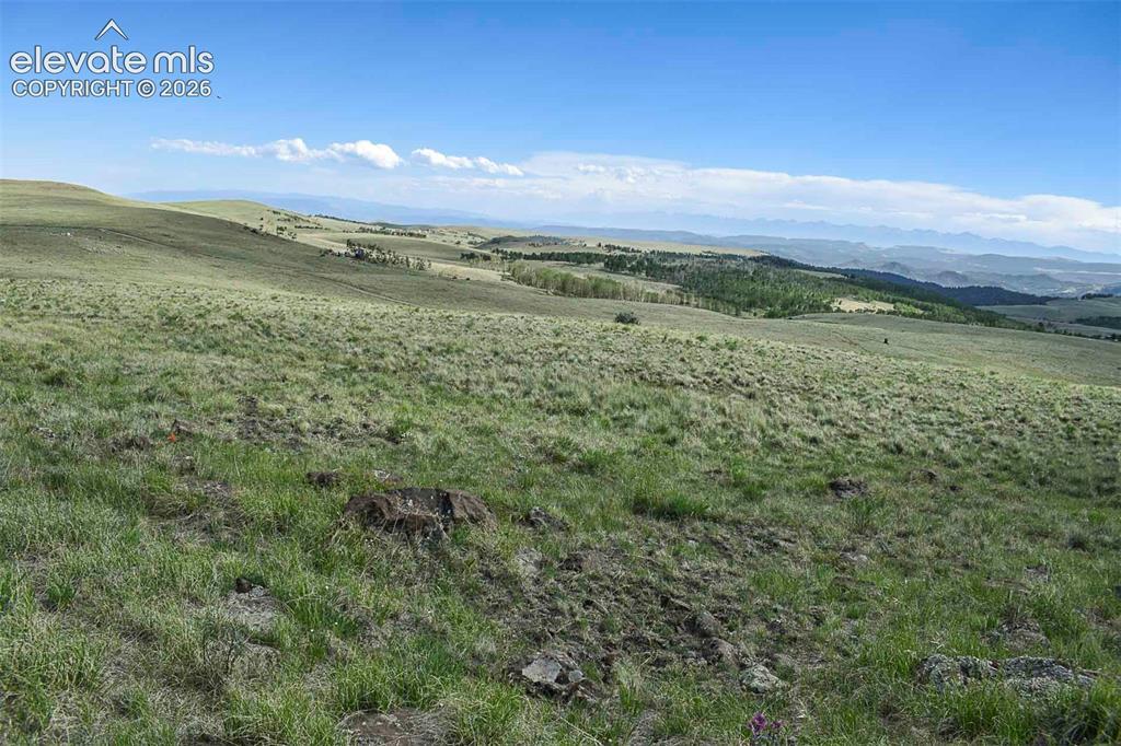 00 Bear Cat Rd., Guffey, CO 80820