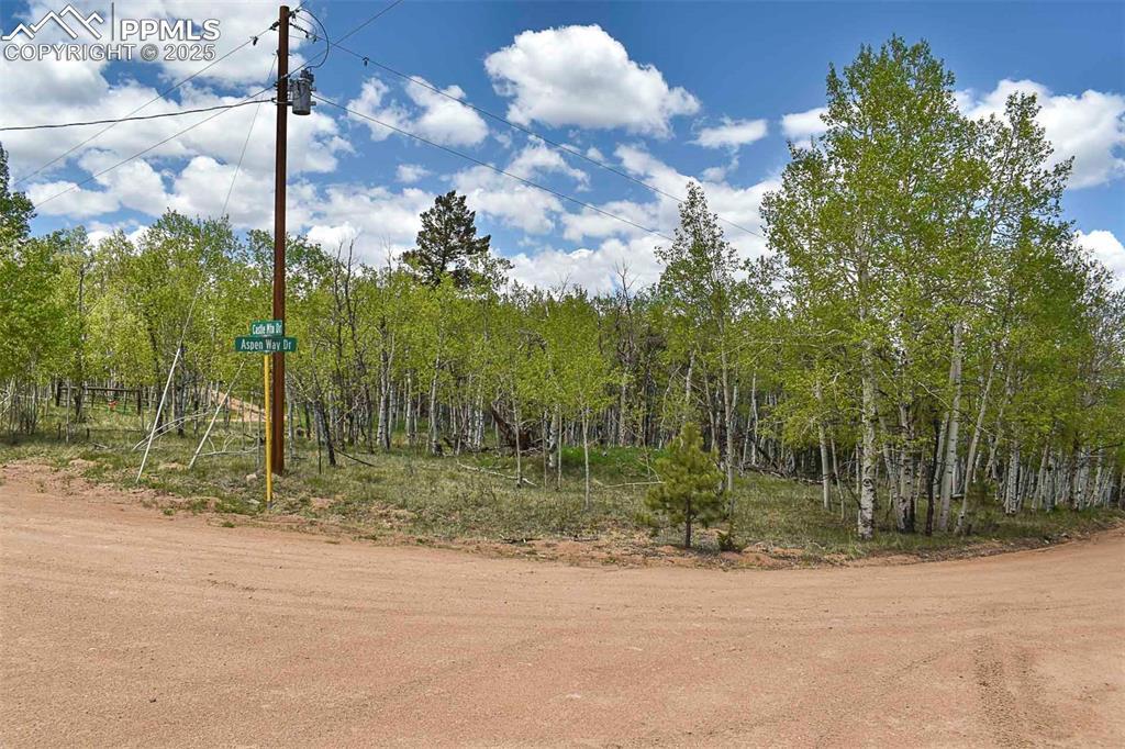 55 Aspen Way Dr., Guffey, CO 80820