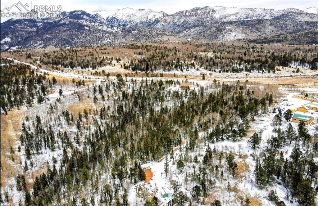 977 County Road 61, Divide, CO 80814