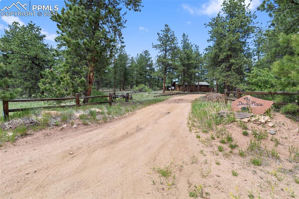 117 Pine Forest Rd., Lake George, CO 80827