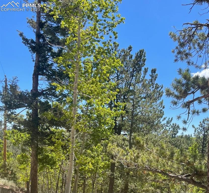 62 Hadatsa Ln., Woodland Park, CO 80863